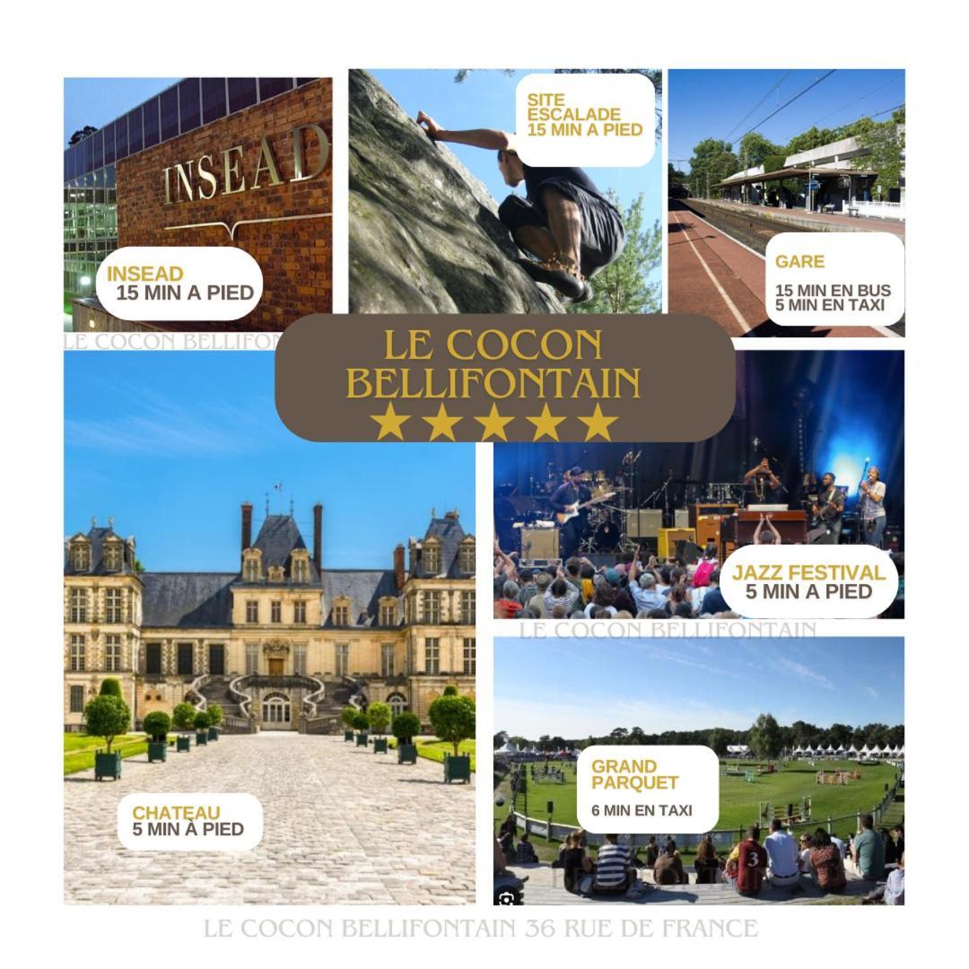 Le Cocon De Fontainebleau - Centre-Ville, Proche Insead & Chateau Luaran gambar