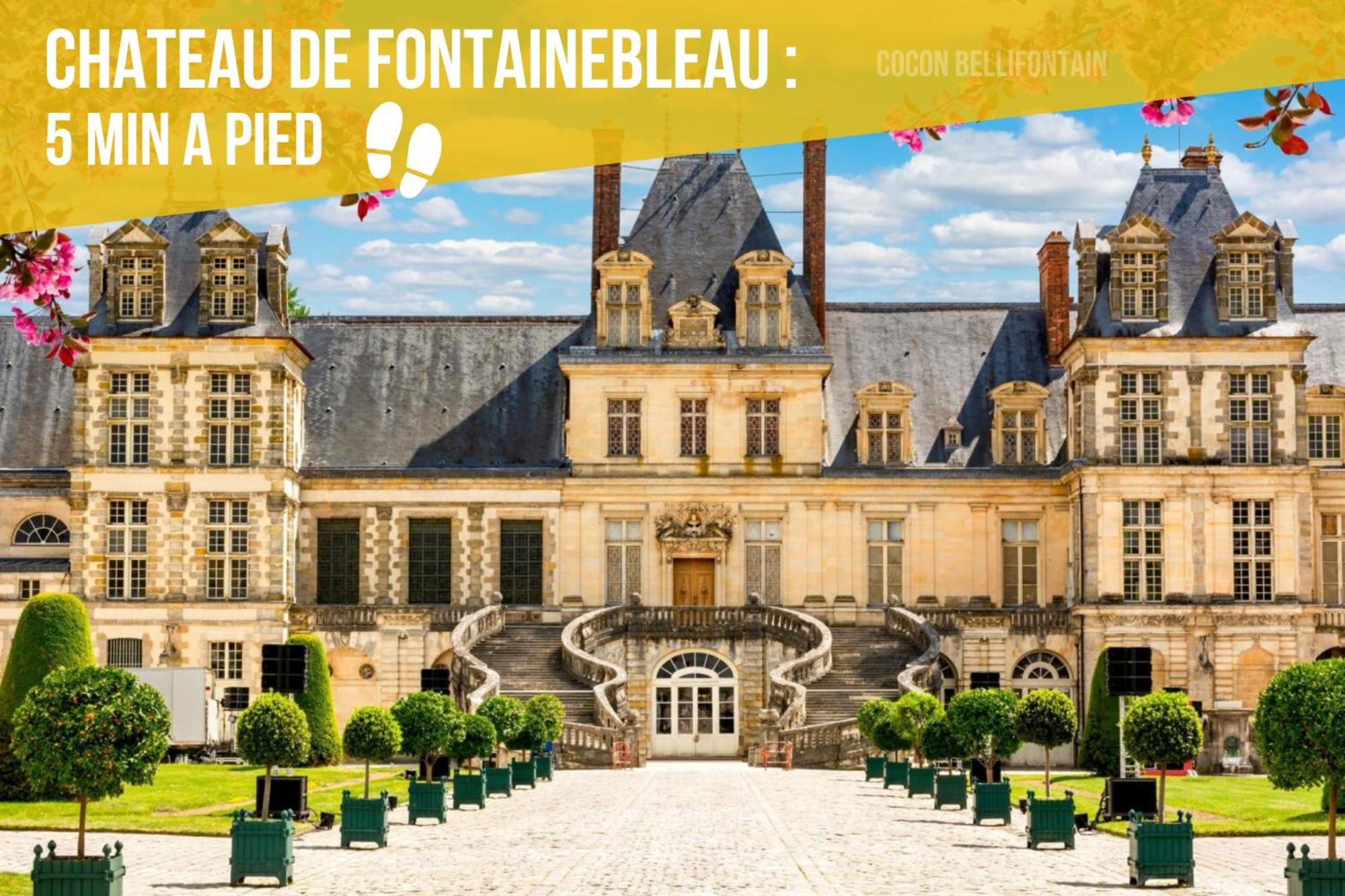 Le Cocon De Fontainebleau - Centre-Ville, Proche Insead & Chateau Luaran gambar